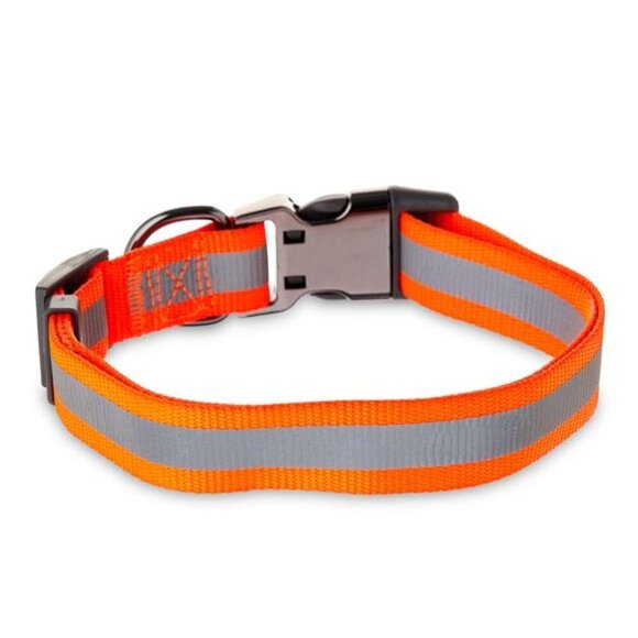 Metal & Nylon Fashion Dog Collar, Orange, Large Size - Picture 5 of 5